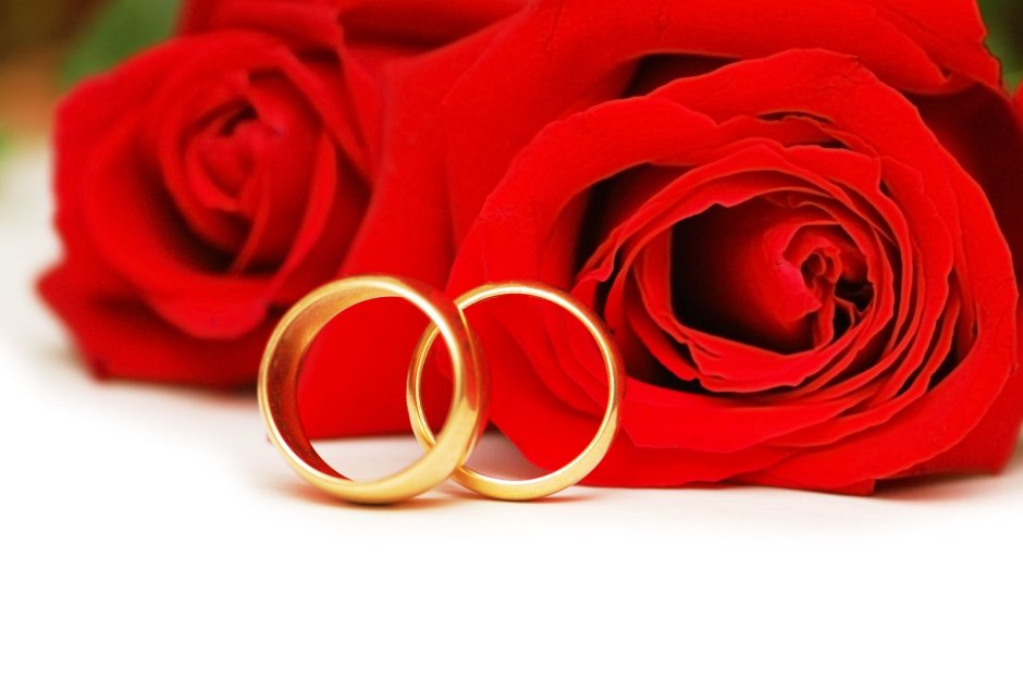 Свадебные кольца на Красном фоне