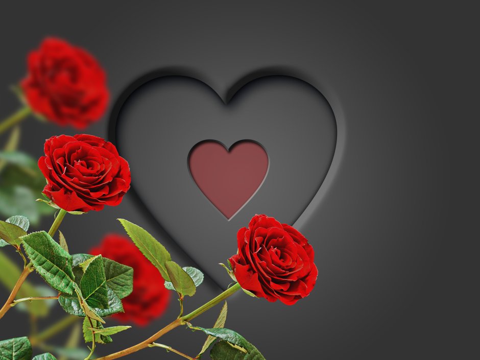 Фон розы сердце