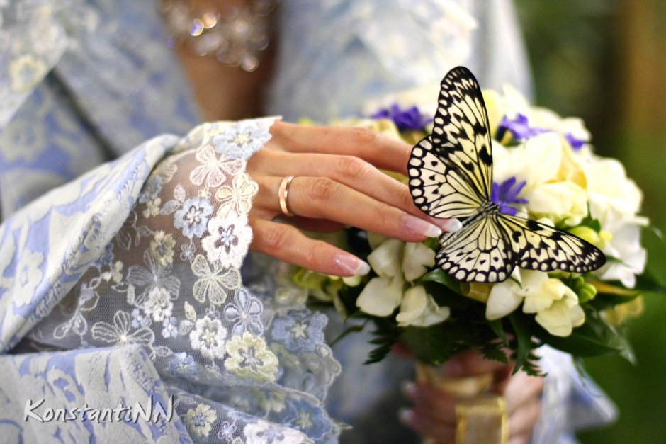Свадебный салют из бабочек