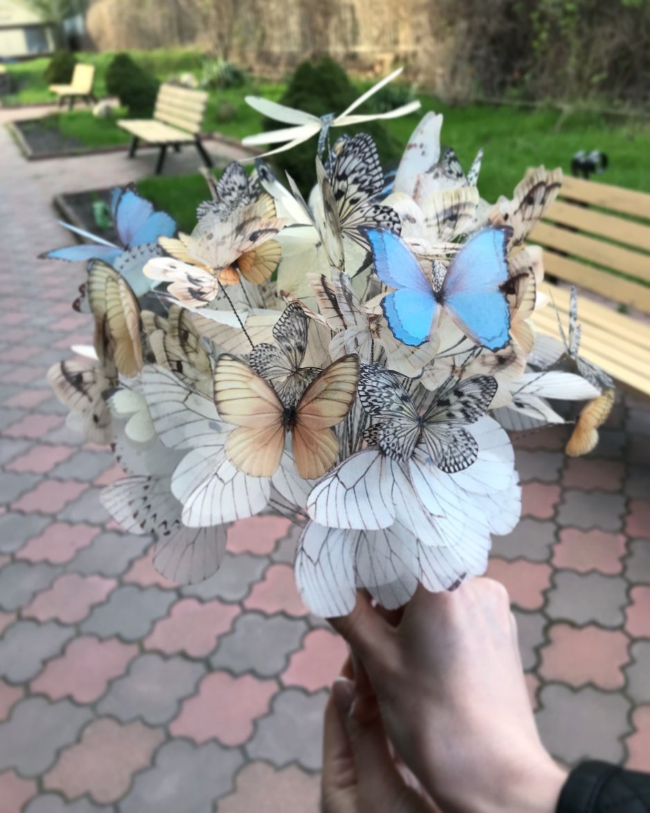 Необычные букеты с бабочками