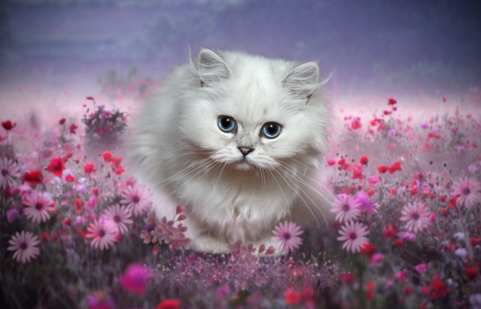 Милые котята с цветами