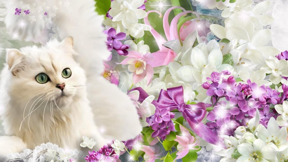 Кошки красивые в цветах
