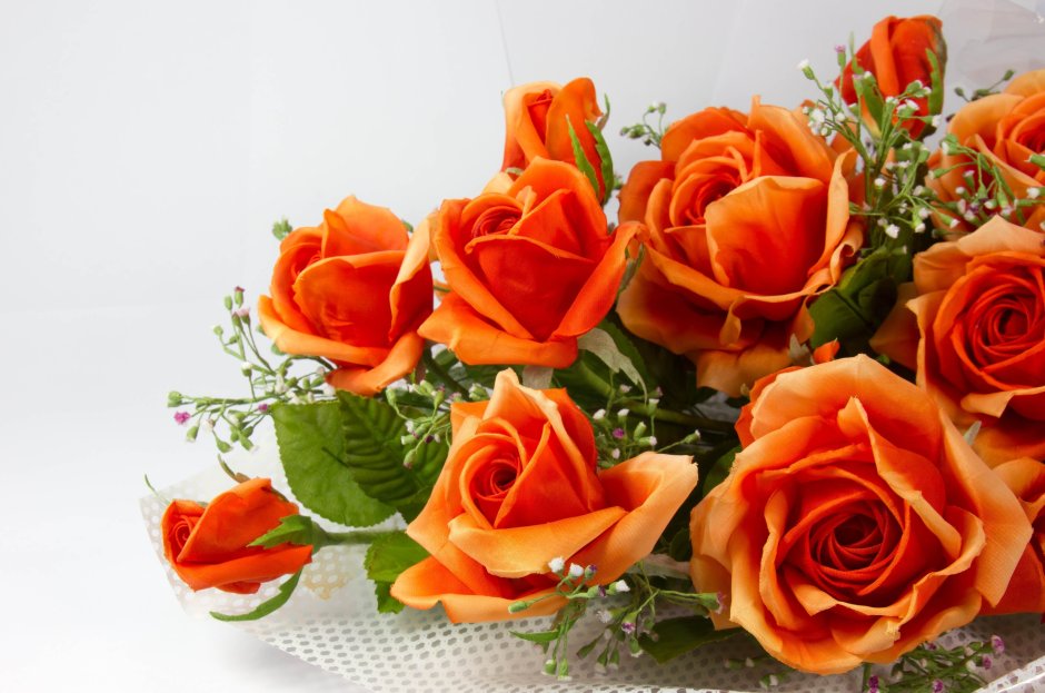 Красивые оранжевые розы