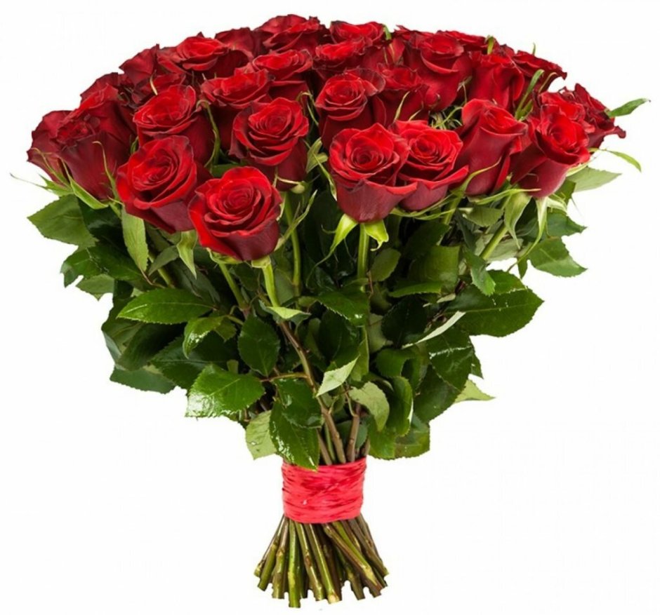 Букет из красных роз Фридом Эквадор