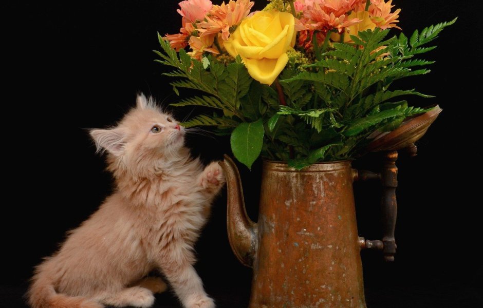 Букет красивых цветов с котятами