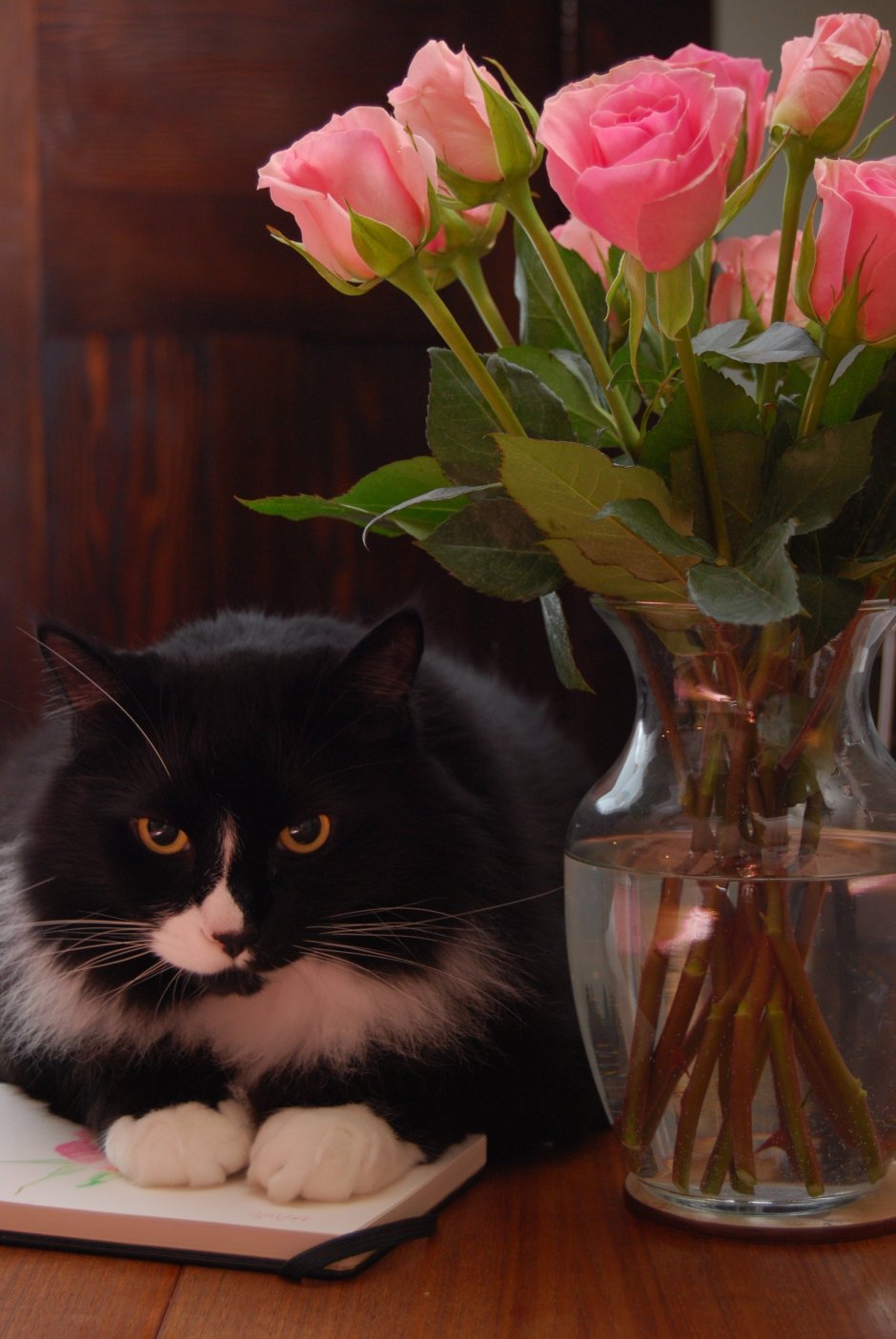 Котенок с букетом цветов