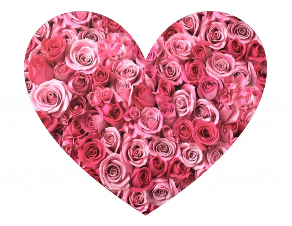 Сердце из роз
