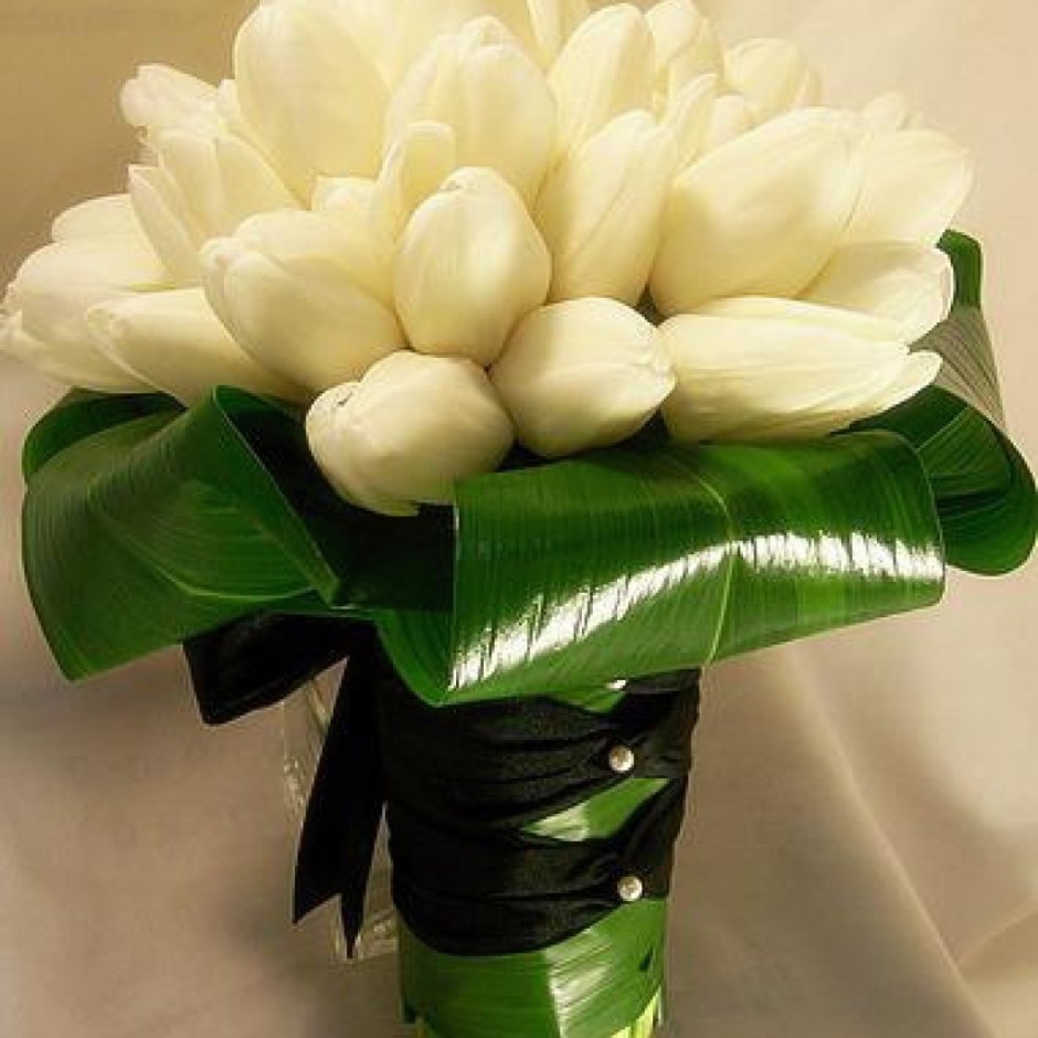 Белые тюльпаны букет картинки