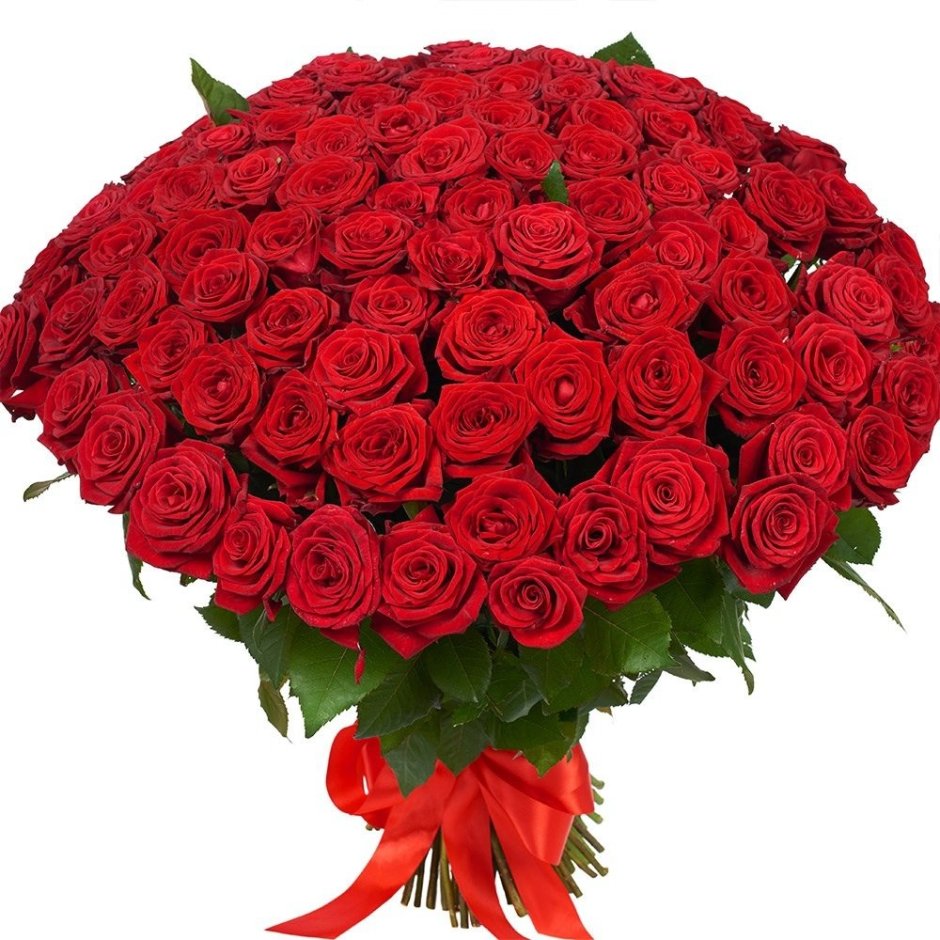 101 Красная роза "ред Наоми"