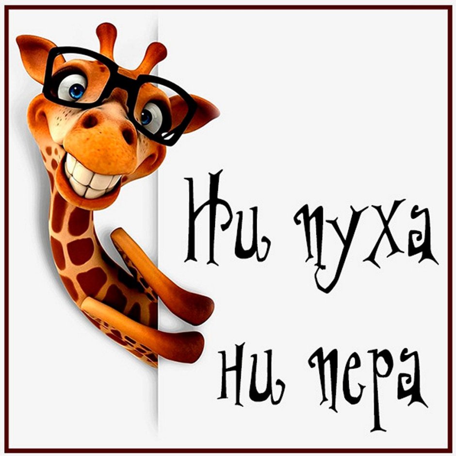 Открытка ни пуха ни пера