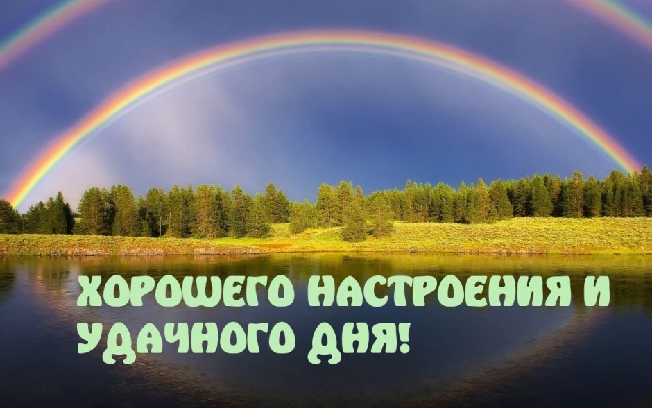 Удачного дня и хорошего