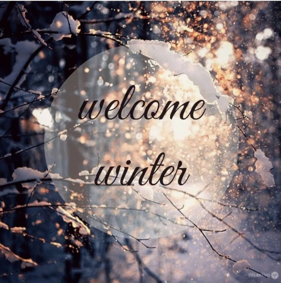 Привет декабрь привет зима