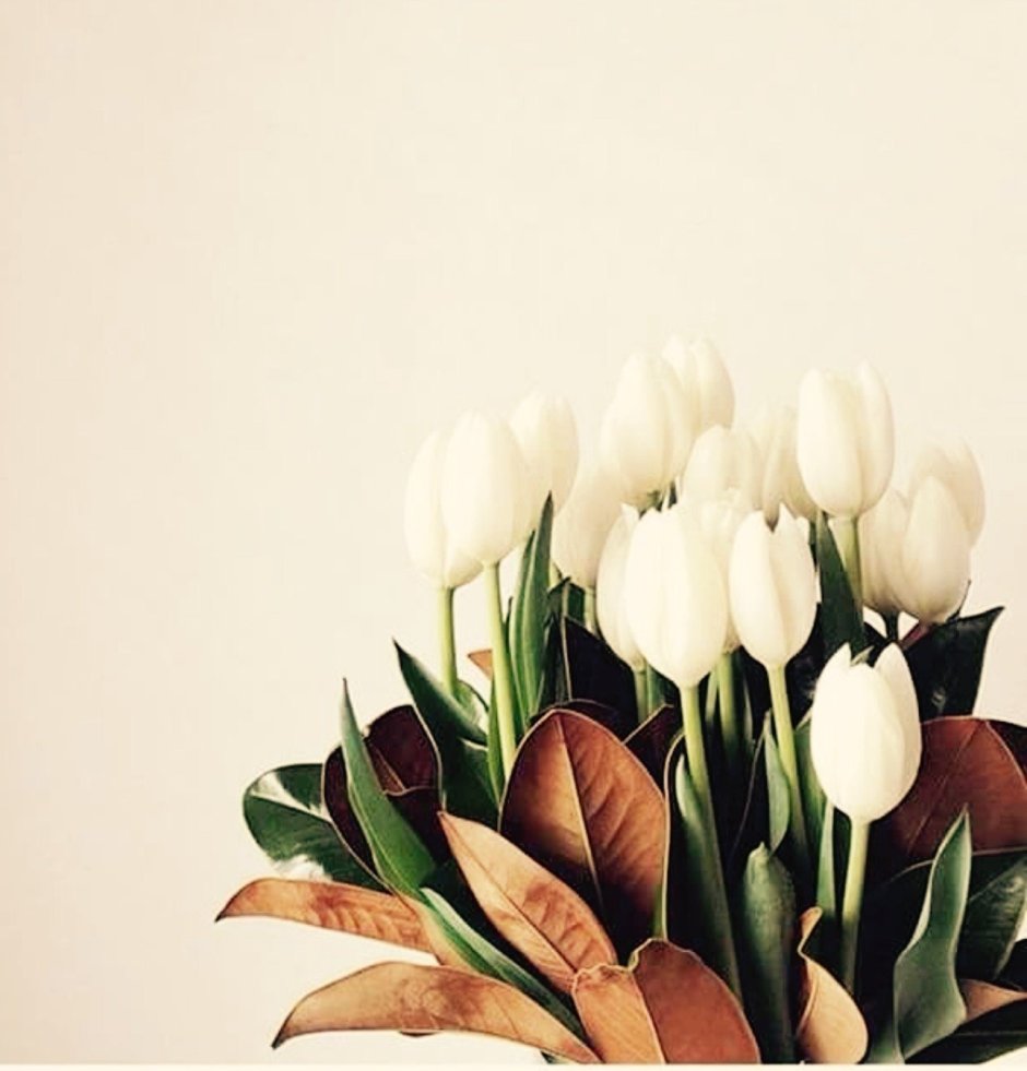 Букет белых тюльпанов Минимализм