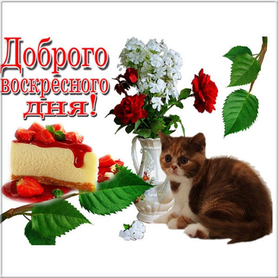 Хорошего воскресенья