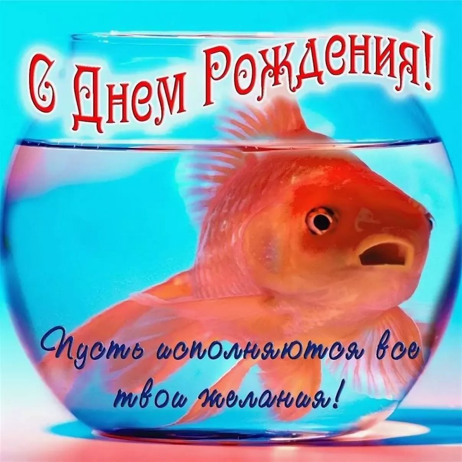 С днём рождения рыбы поздравления картинки
