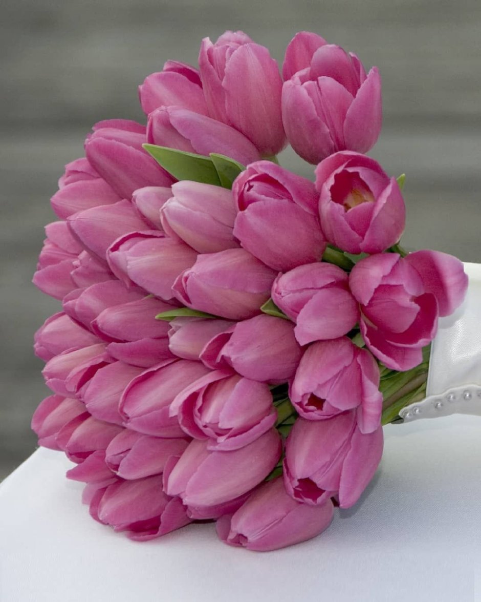 С днем рождения красивые тюльпаны