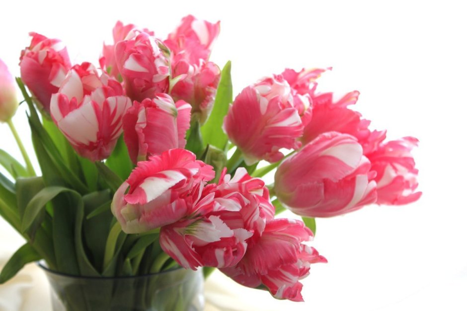 С днём рождения цветы тюльпаны