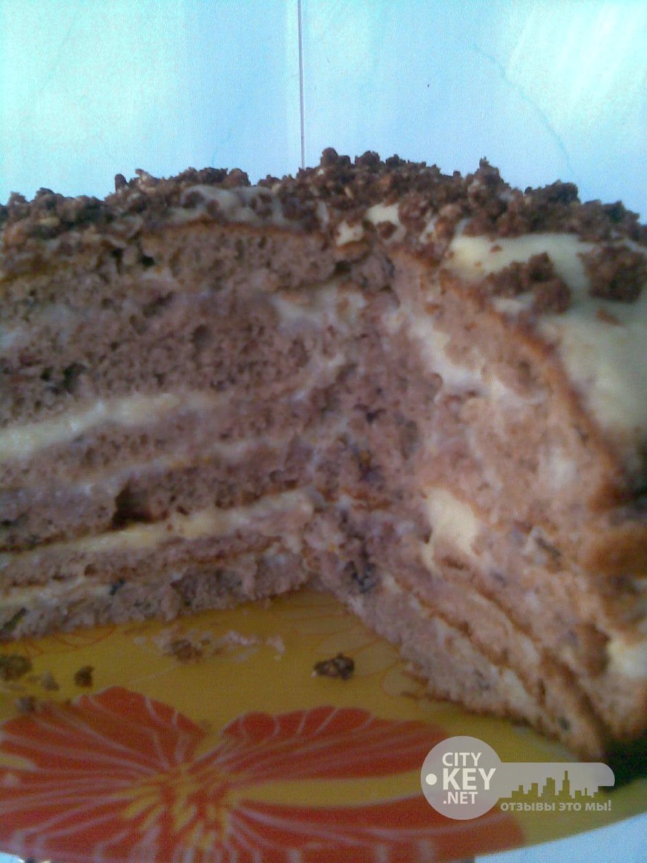Торт Трухлявый пень с черносливом и курагой