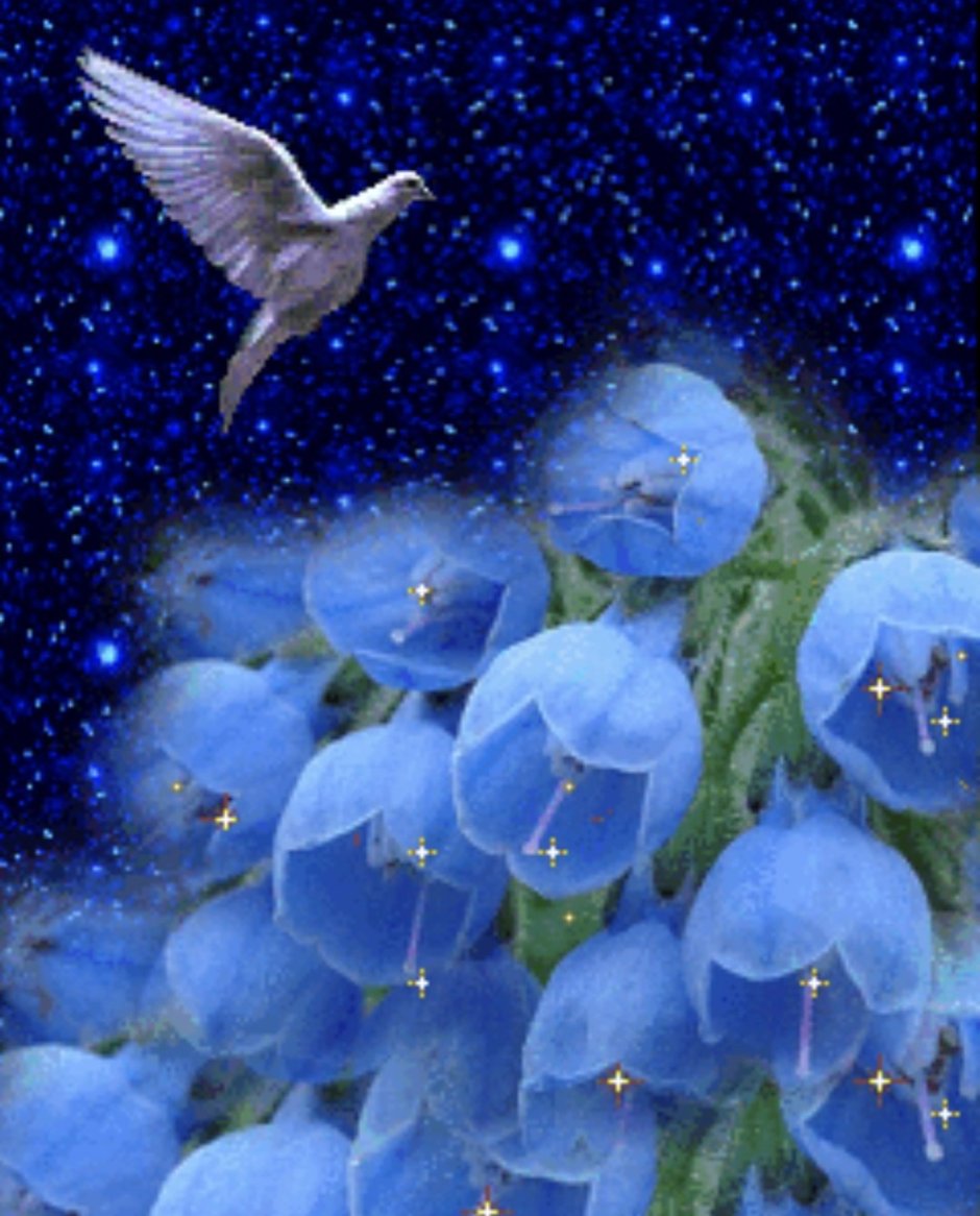 Синие цветы ночью