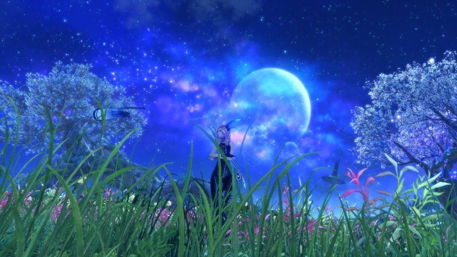 Ночь Луна звёзды цветы