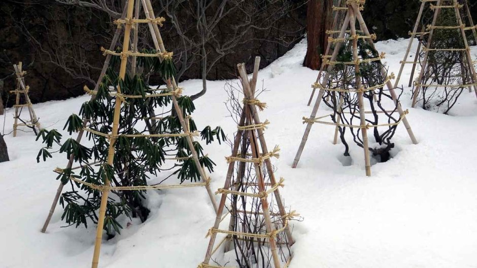 Каркас для укрытия растений на зиму