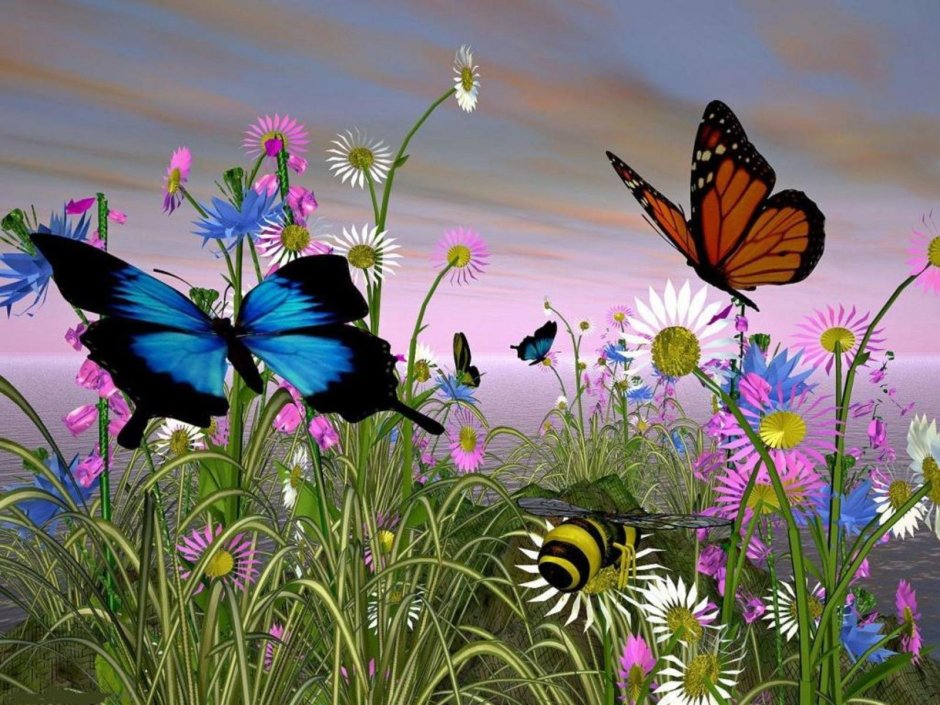 Бабочки летают над лугом