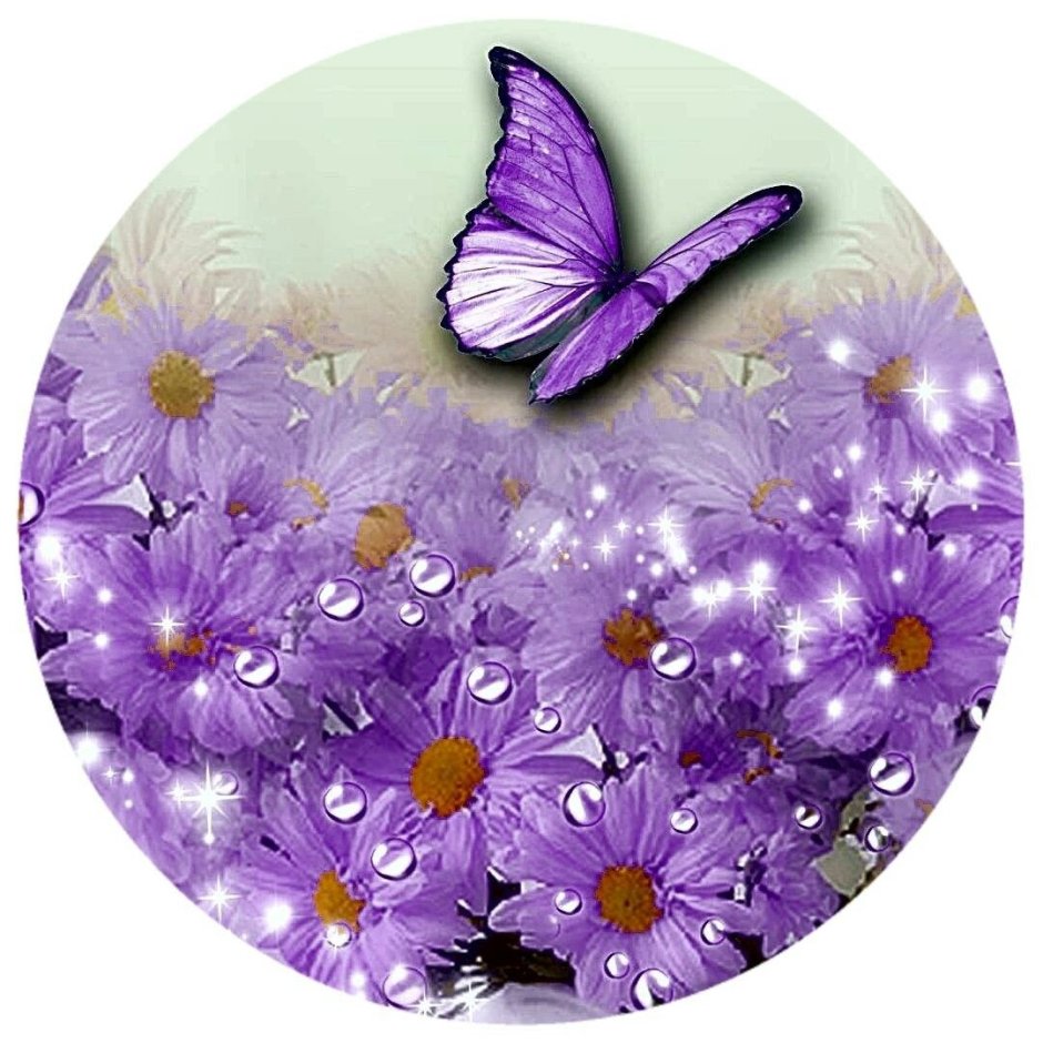 Анимационные бабочки и цветы