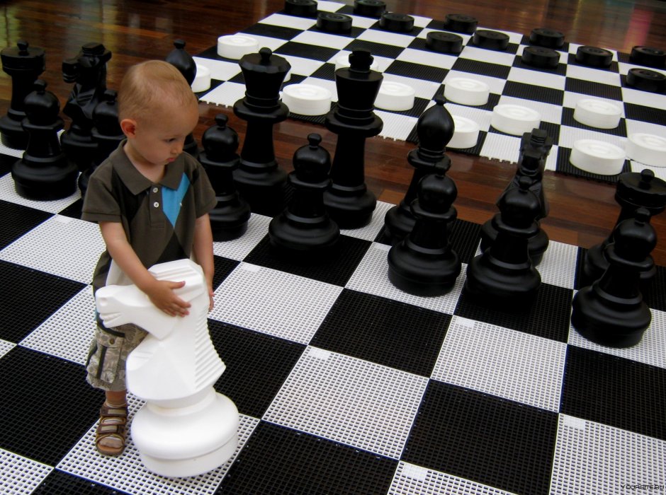 Ходы в шахматах