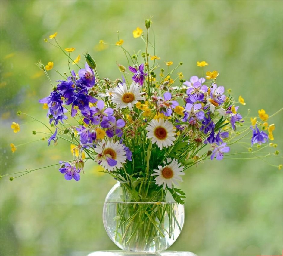 Букет полевые цветы