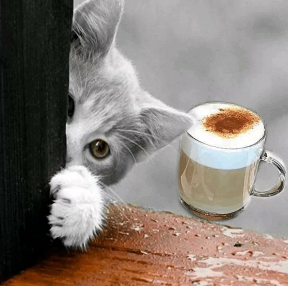 С добрым утром кофе и котик