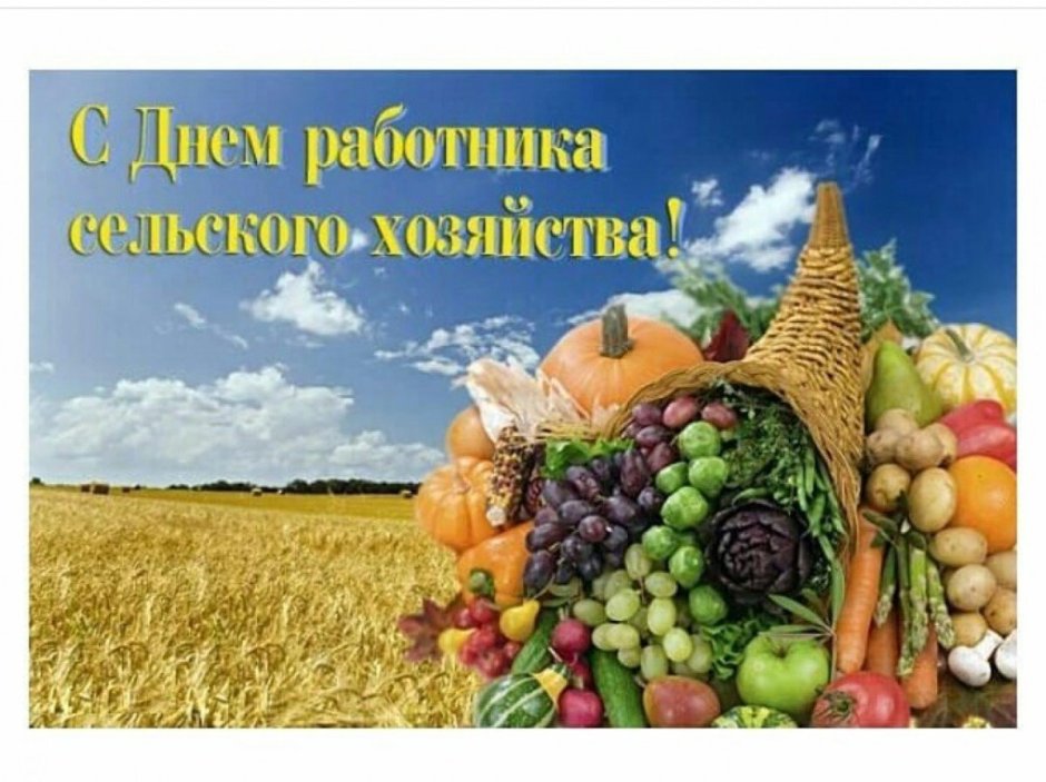 С днем сельского хозяйства и перерабатывающей промышленности