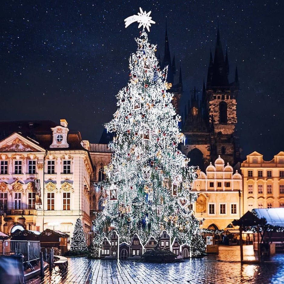 Рождество Прага елка