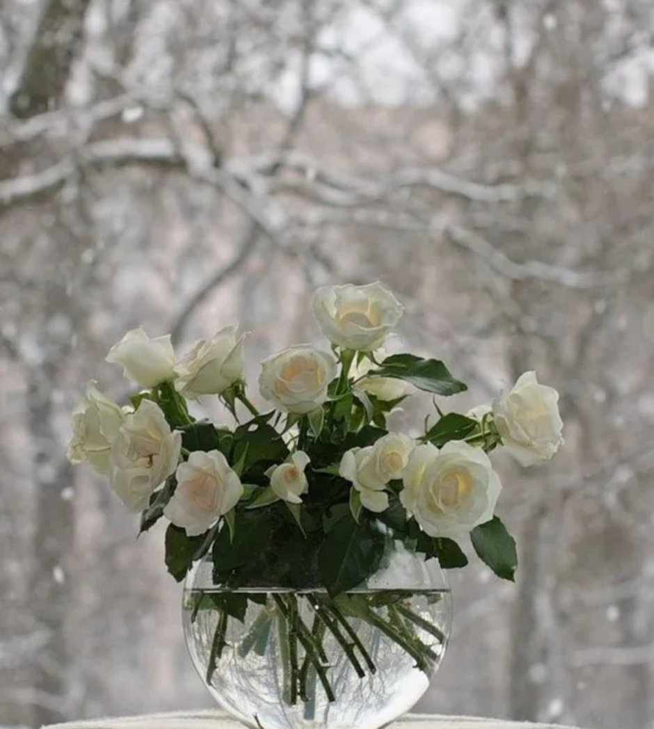 Букет цветов на окне зимой
