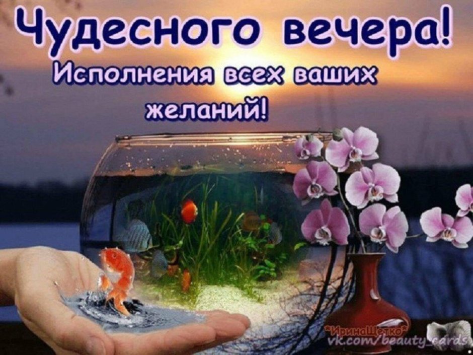 Доброго чудесного вечера