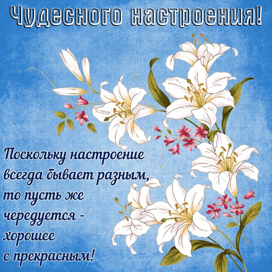 Пожелания доброго дня