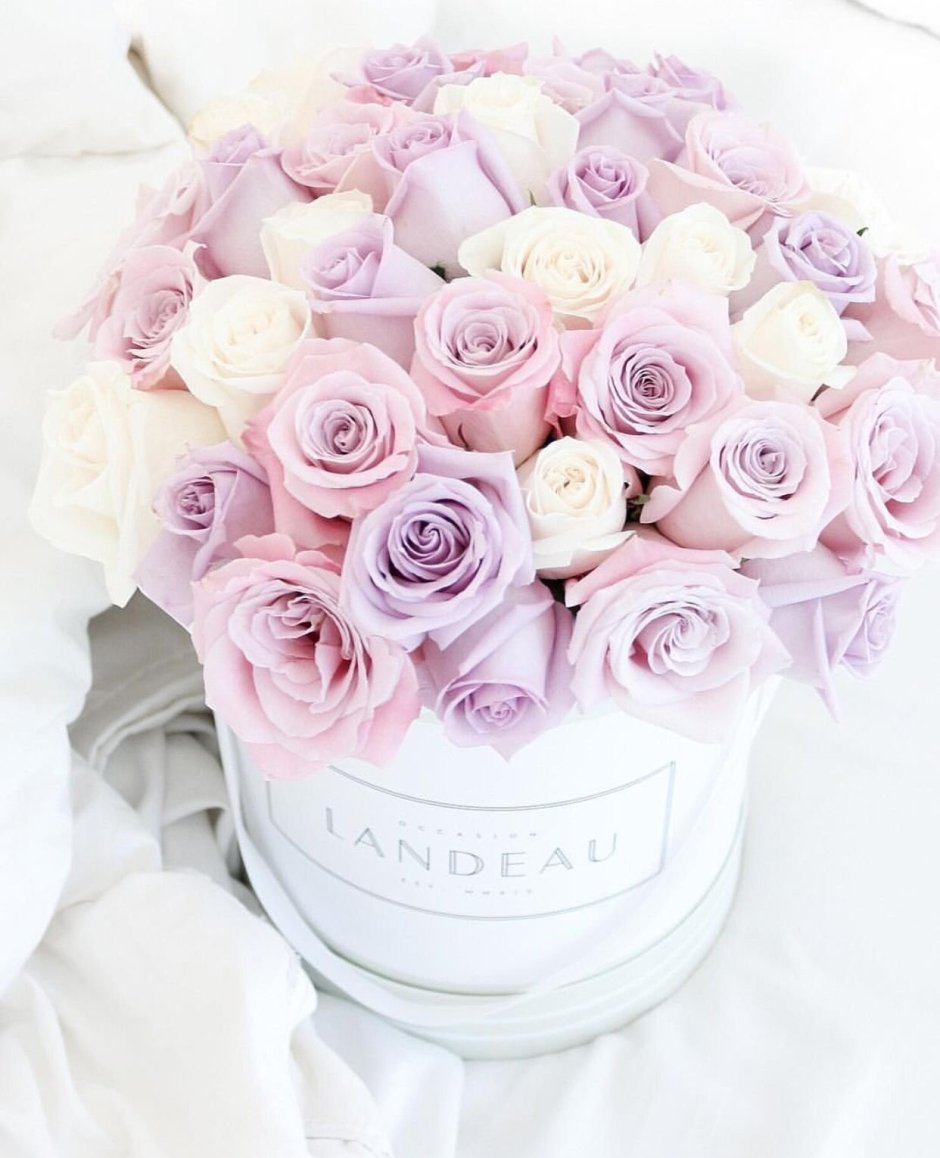 Букет цветов розового цвета Эстетика