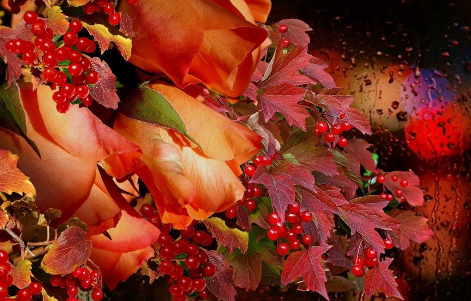 Осенние цветы и листья