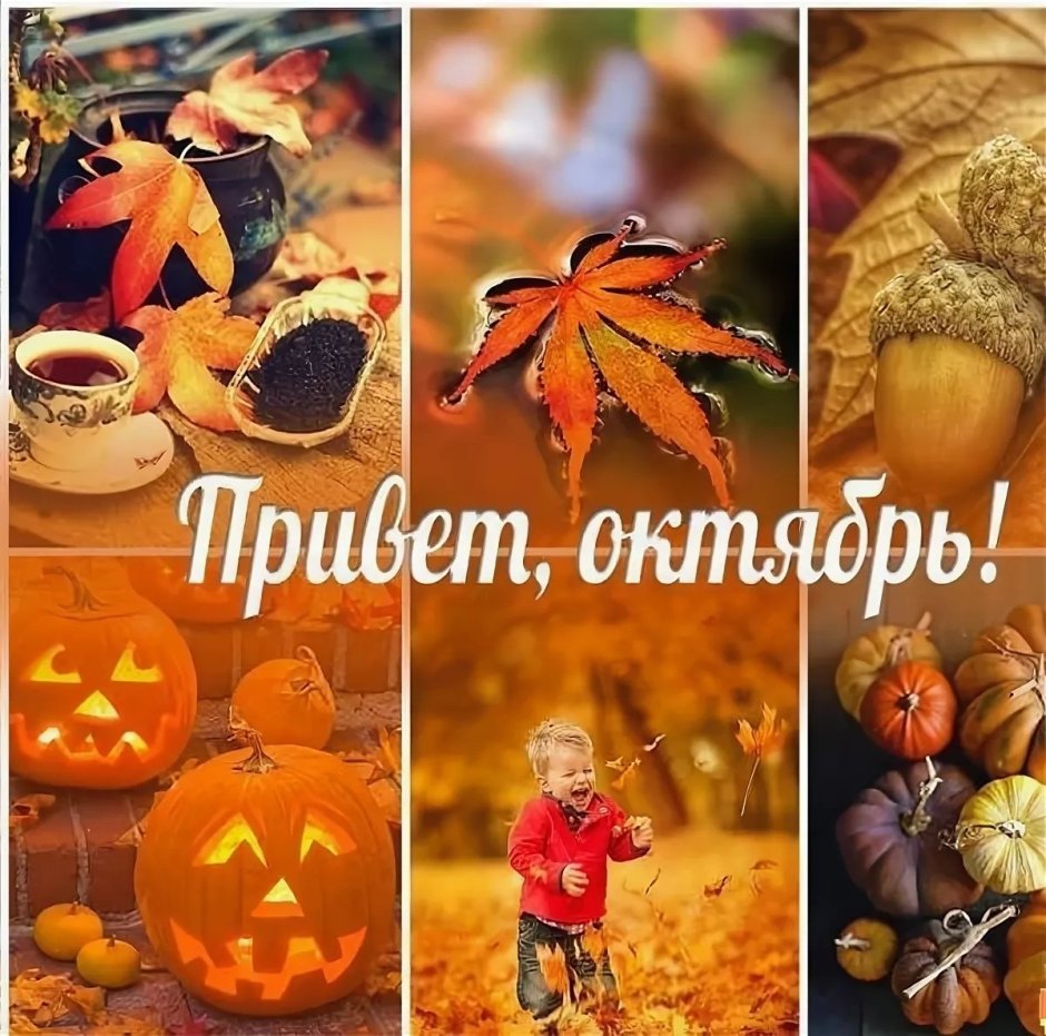 Осенний привет октября