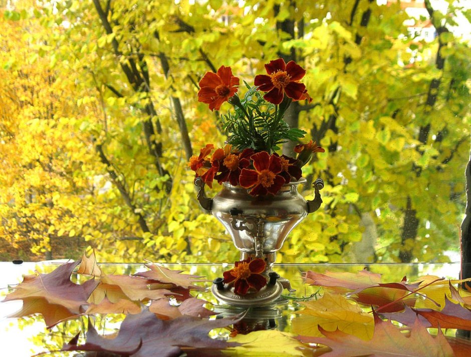 Осенний букет на природе