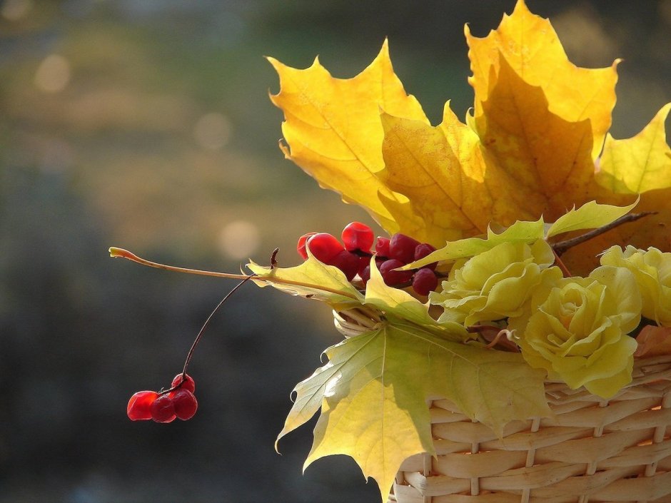Осенний букет из жёлтых листьев