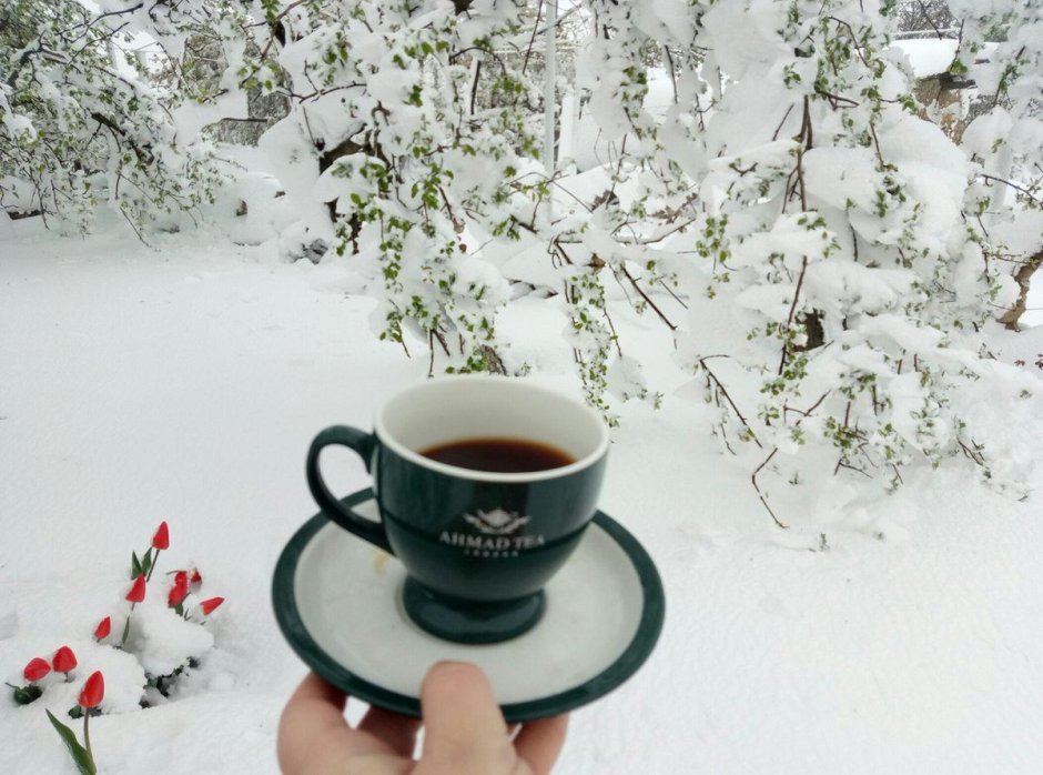 Кофе зимним утром