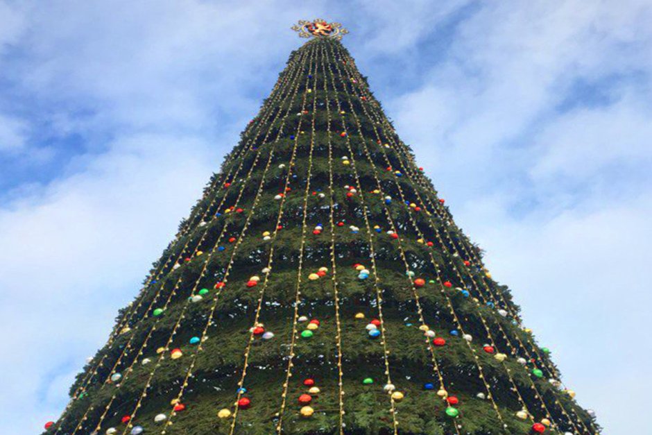 Самая большая елка в Мехико