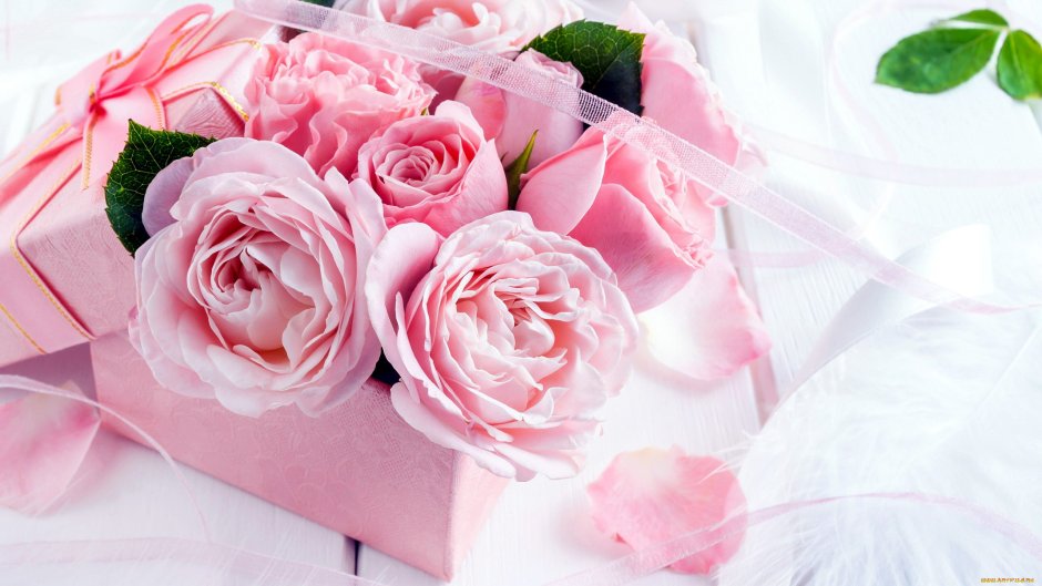 Розовые розы и подарок