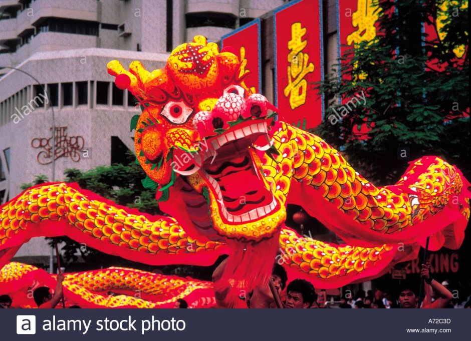 Китайский дракон шоу