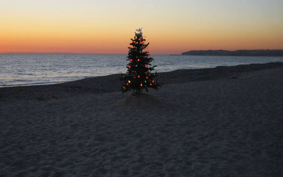 Новогодняя елка на пляже