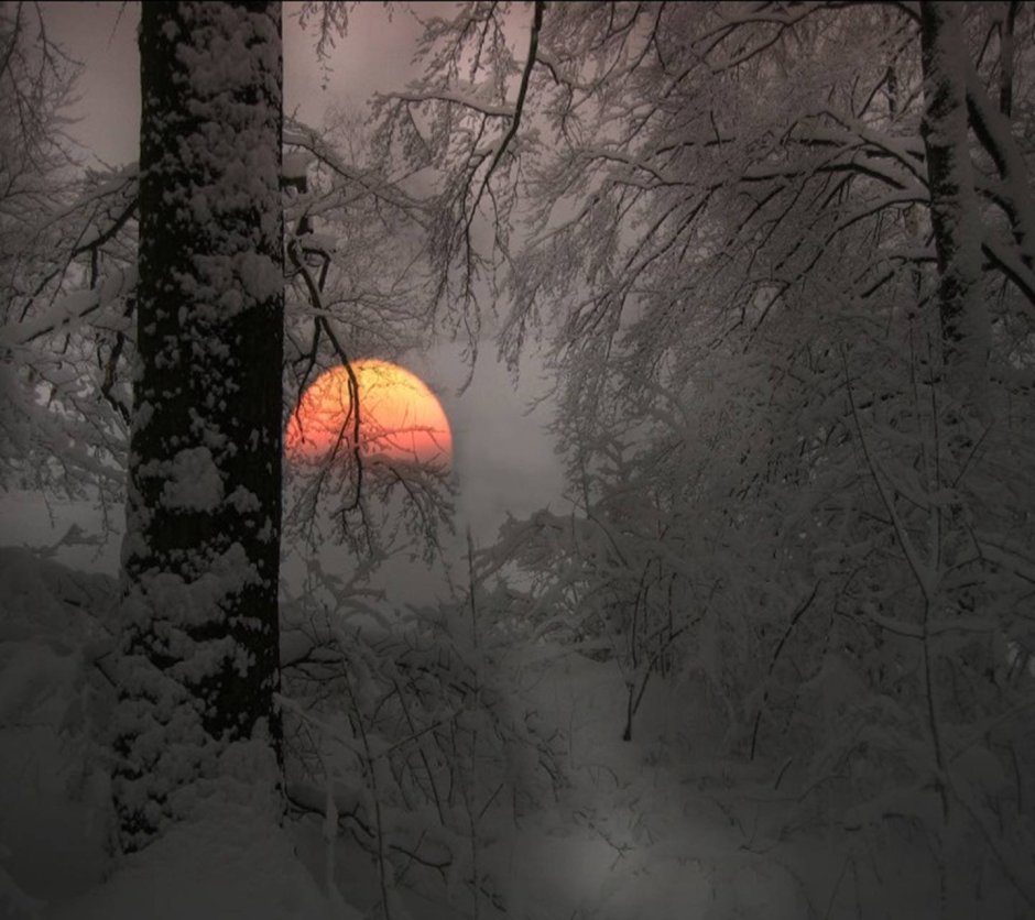 Ночь зимнего солнцестояния