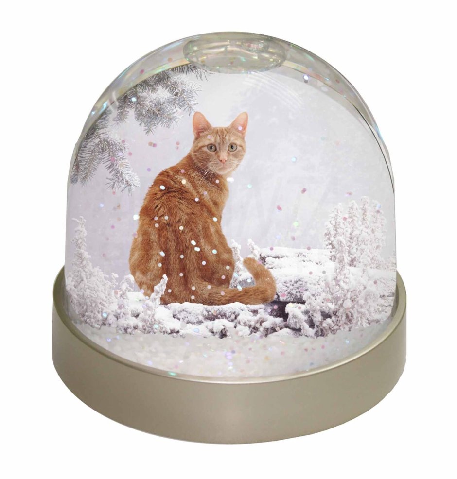 Снежный шар с кошкой