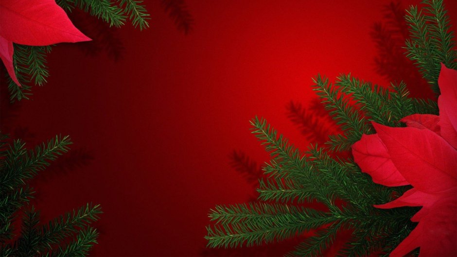 Новогодняя елка на Красном фоне