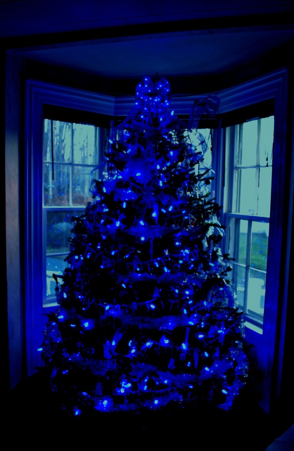 Синяя елка