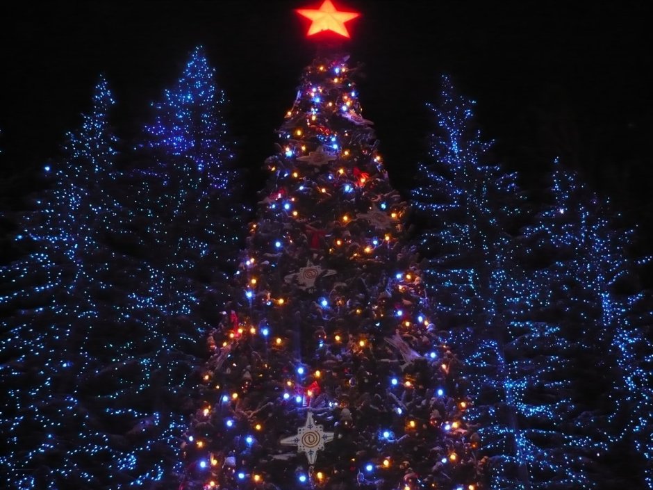 Новогодняя елка Новосибирск